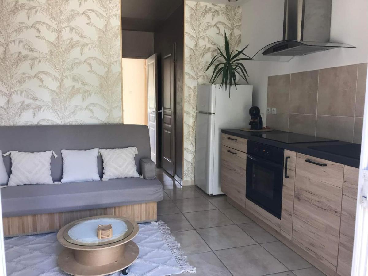 Appartement T1 Plain Pied Le Cannet-des-Maures Eksteriør billede